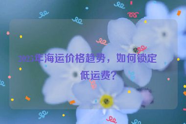 2025年海運(yùn)價(jià)格趨勢，如何鎖定最低運(yùn)費(fèi)？