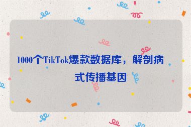 1000個(gè)TikTok爆款數(shù)據(jù)庫(kù)，解剖病毒式傳播基因