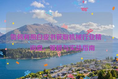 如何利用白皮書獲取機(jī)械行業(yè)精準(zhǔn)詢盤，策略與實(shí)戰(zhàn)指南