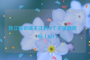 獨立站必須關注的10個關鍵數(shù)據(jù)指標（KPI）