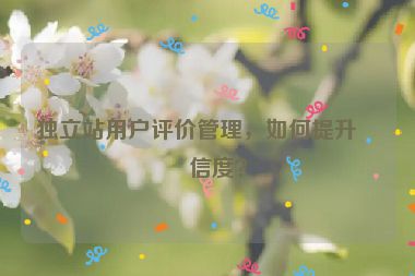 獨立站用戶評價管理，如何提升可信度？