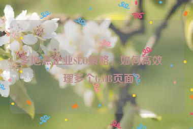 多地點(diǎn)企業(yè)SEO策略，如何高效管理多個(gè)GMB頁面？