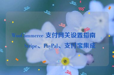 WooCommerce 支付網(wǎng)關(guān)設(shè)置指南，Stripe、PayPal、支付寶集成
