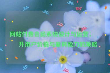 網(wǎng)站付費(fèi)會(huì)員系統(tǒng)設(shè)計(jì)與運(yùn)營，提升用戶價(jià)值與盈利能力的策略