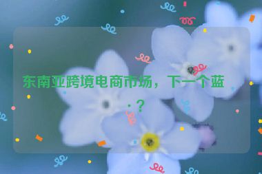 東南亞跨境電商市場(chǎng)，下一個(gè)藍(lán)海？