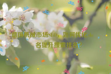德國機(jī)械市場SEO，如何優(yōu)化.de域名提升搜索排名？