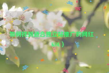 如何找到適合獨(dú)立站推廣的網(wǎng)紅（KOL）
