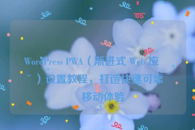 WordPress PWA（漸進(jìn)式 Web 應(yīng)用）設(shè)置教程，打造快速可靠的移動體驗(yàn)