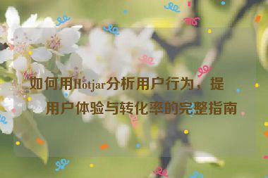 如何用Hotjar分析用戶行為，提升用戶體驗(yàn)與轉(zhuǎn)化率的完整指南