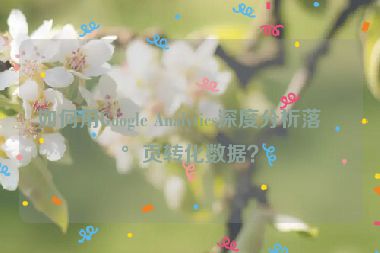 如何用Google Analytics深度分析落地頁轉(zhuǎn)化數(shù)據(jù)？