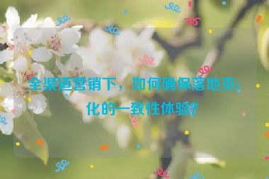 全渠道營銷下，如何確保落地頁轉(zhuǎn)化的一致性體驗(yàn)？