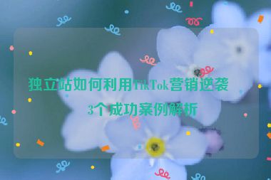 獨(dú)立站如何利用TikTok營(yíng)銷逆襲？3個(gè)成功案例解析
