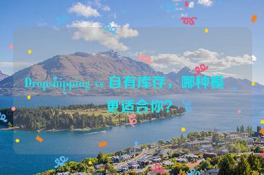 Dropshipping vs 自有庫(kù)存，哪種模式更適合你？