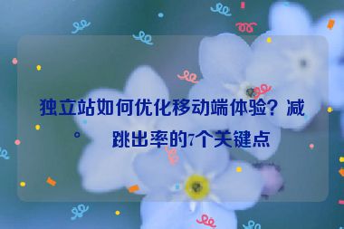 獨立站如何優(yōu)化移動端體驗？減少跳出率的7個關(guān)鍵點