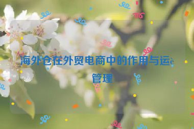海外倉在外貿(mào)電商中的作用與運營管理