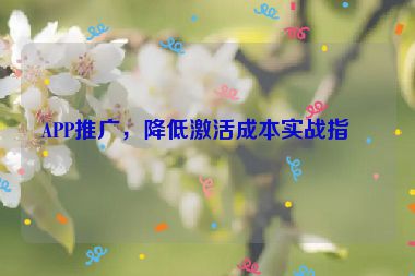 APP推廣，降低激活成本實(shí)戰(zhàn)指南