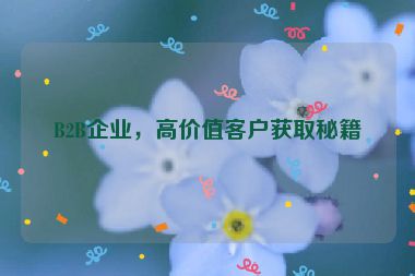 B2B企業(yè)，高價值客戶獲取秘籍