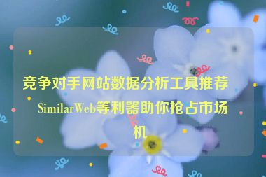 競(jìng)爭(zhēng)對(duì)手網(wǎng)站數(shù)據(jù)分析工具推薦，SimilarWeb等利器助你搶占市場(chǎng)先機(jī)