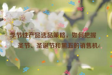 季節(jié)性產(chǎn)品選品策略，如何把握萬(wàn)圣節(jié)、圣誕節(jié)和黑五的銷售機(jī)遇