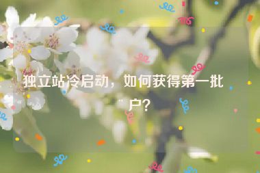 獨(dú)立站冷啟動(dòng)，如何獲得第一批用戶？