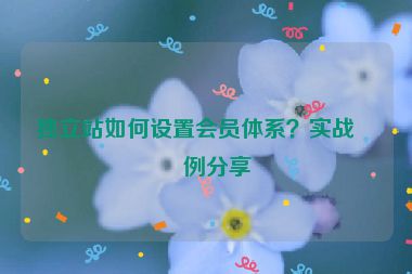 獨(dú)立站如何設(shè)置會(huì)員體系？實(shí)戰(zhàn)案例分享