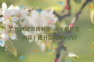 廣州網(wǎng)站如何利用UGC（用戶生成內(nèi)容）提升品牌影響力？