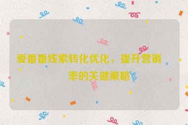 愛番番線索轉化優(yōu)化，提升營銷效率的關鍵策略