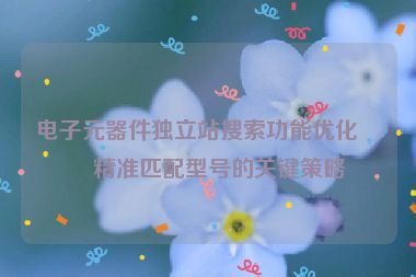 電子元器件獨立站搜索功能優(yōu)化，精準(zhǔn)匹配型號的關(guān)鍵策略