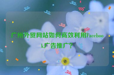 廣州外貿(mào)網(wǎng)站如何高效利用Facebook廣告推廣？