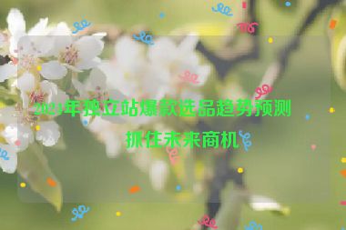 2024年獨(dú)立站爆款選品趨勢(shì)預(yù)測(cè)，抓住未來商機(jī)
