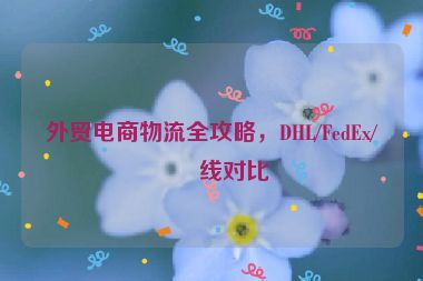 外貿電商物流全攻略，DHL/FedEx/專線對比
