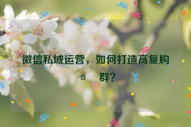 微信私域運營，如何打造高復(fù)購社群？