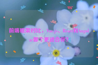 前端框架對(duì)比，Vue.js、React和Angular哪個(gè)更適合你？