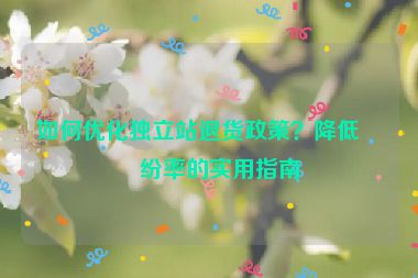 如何優(yōu)化獨(dú)立站退貨政策？降低糾紛率的實(shí)用指南