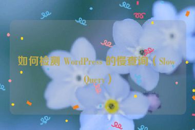 如何檢測 WordPress 的慢查詢（Slow Query）