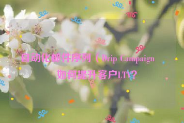 自動化郵件序列（Drip Campaign）如何提升客戶LTV？