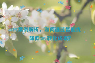 oCPC案例解析，如何通過智能優(yōu)化降低30%轉(zhuǎn)化成本？