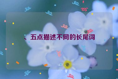 、五點(diǎn)描述不同的長(zhǎng)尾詞