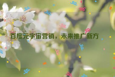百度元宇宙營(yíng)銷，未來(lái)推廣新方向