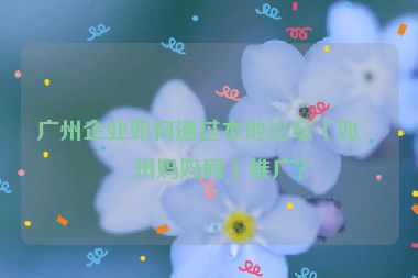 廣州企業(yè)如何通過(guò)本地論壇（如廣州媽媽網(wǎng)）推廣？