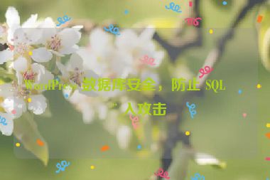 WordPress 數(shù)據(jù)庫安全，防止 SQL 注入攻擊