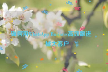 如何用WhatsApp Business高效跟進(jìn)機(jī)械大客戶