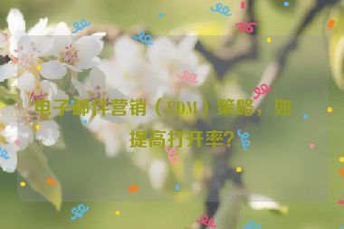電子郵件營(yíng)銷（EDM）策略，如何提高打開(kāi)率？