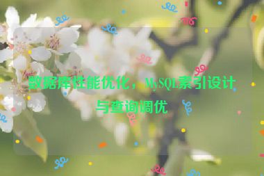 數(shù)據(jù)庫性能優(yōu)化，MySQL索引設(shè)計與查詢調(diào)優(yōu)