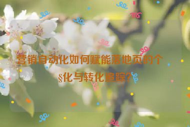 營銷自動化如何賦能落地頁的個性化與轉(zhuǎn)化追蹤？