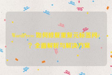 WordPress 如何修復重復元標簽問題？全面解析與解決方案