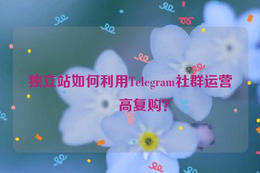 獨立站如何利用Telegram社群運營提高復購？