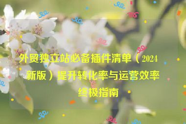 外貿(mào)獨(dú)立站必備插件清單（2024最新版）提升轉(zhuǎn)化率與運(yùn)營效率的終極指南