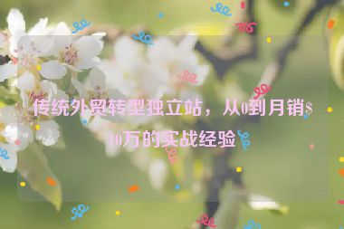 傳統(tǒng)外貿(mào)轉(zhuǎn)型獨立站，從0到月銷$10萬的實戰(zhàn)經(jīng)驗