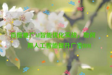 百度推廣AI智能優(yōu)化實戰(zhàn)，如何利用人工智能提升廣告ROI